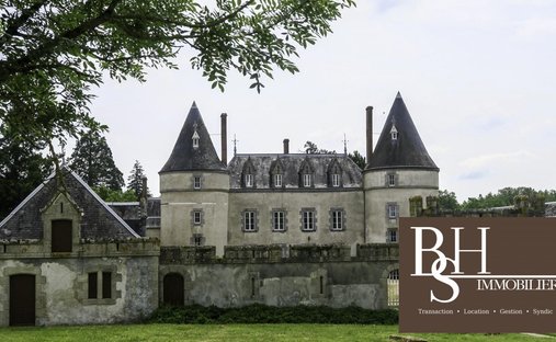 Chateau in Verneuil-Moustiers, Nouvelle-Aquitaine, France 1