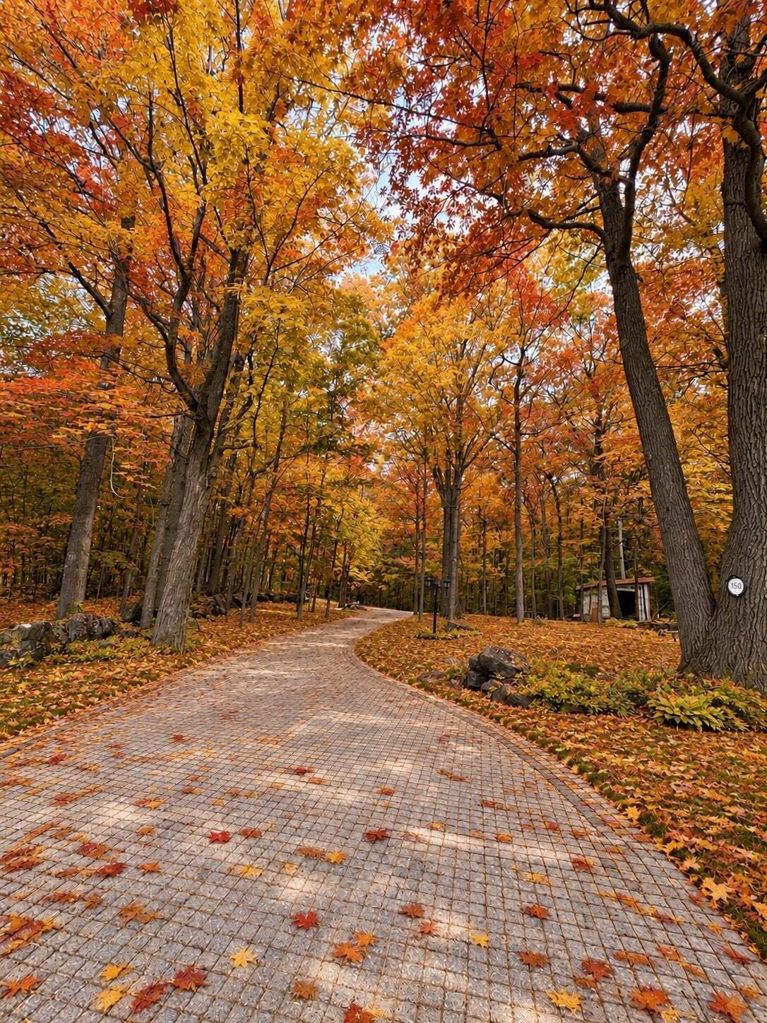 Terreno a Saint-Bruno-de-Montarville, Québec, Canada 2 - 18644286