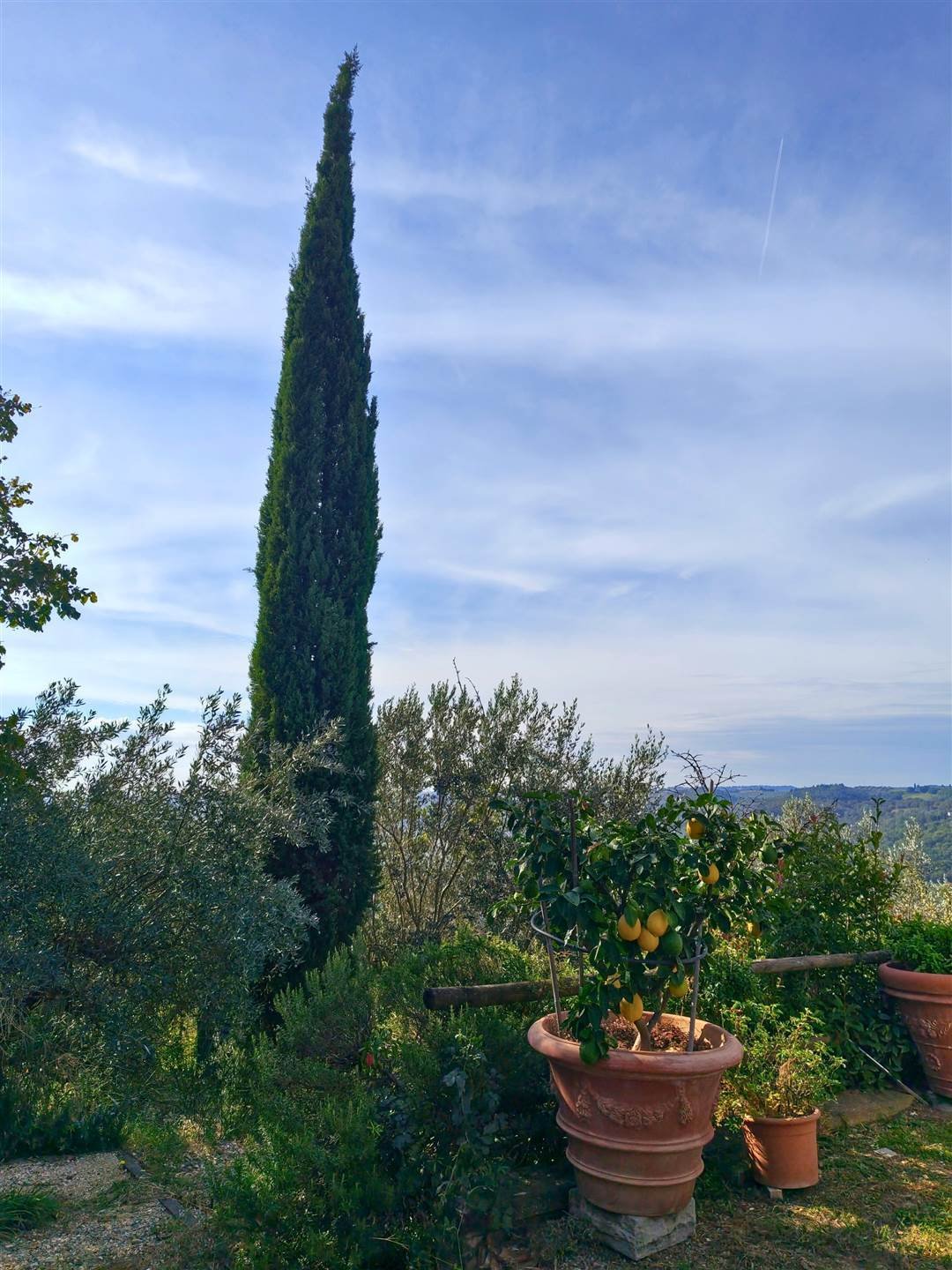 Casa di campagna a Mercatale - Montefiridolfi - Bargino, San Casciano in Val di Pesa, Toscana 5 - 19064312