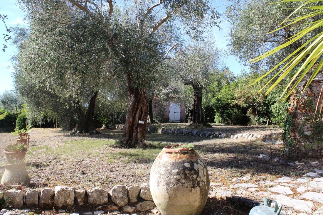 Villa à Grasse, Provence-Alpes-Côte d'Azur, France 5 - 19060623