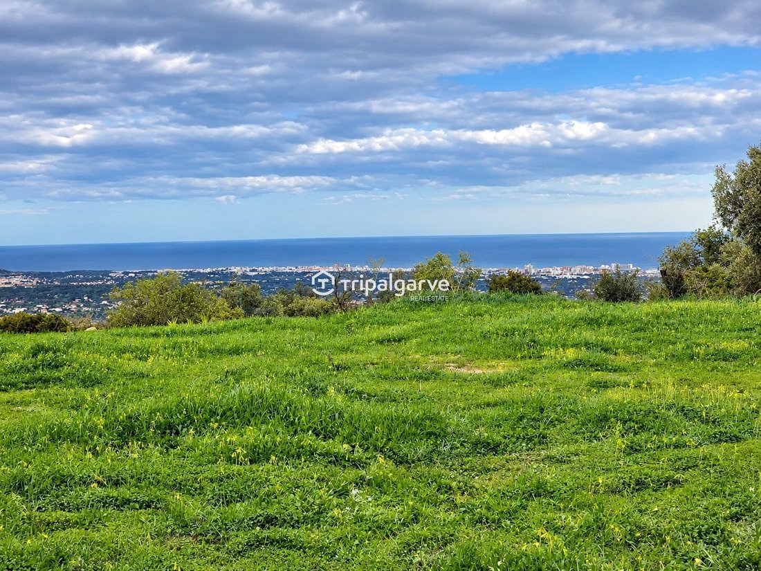 Land in Boliqueime, Algarve, Portugal 2 - 19062347
