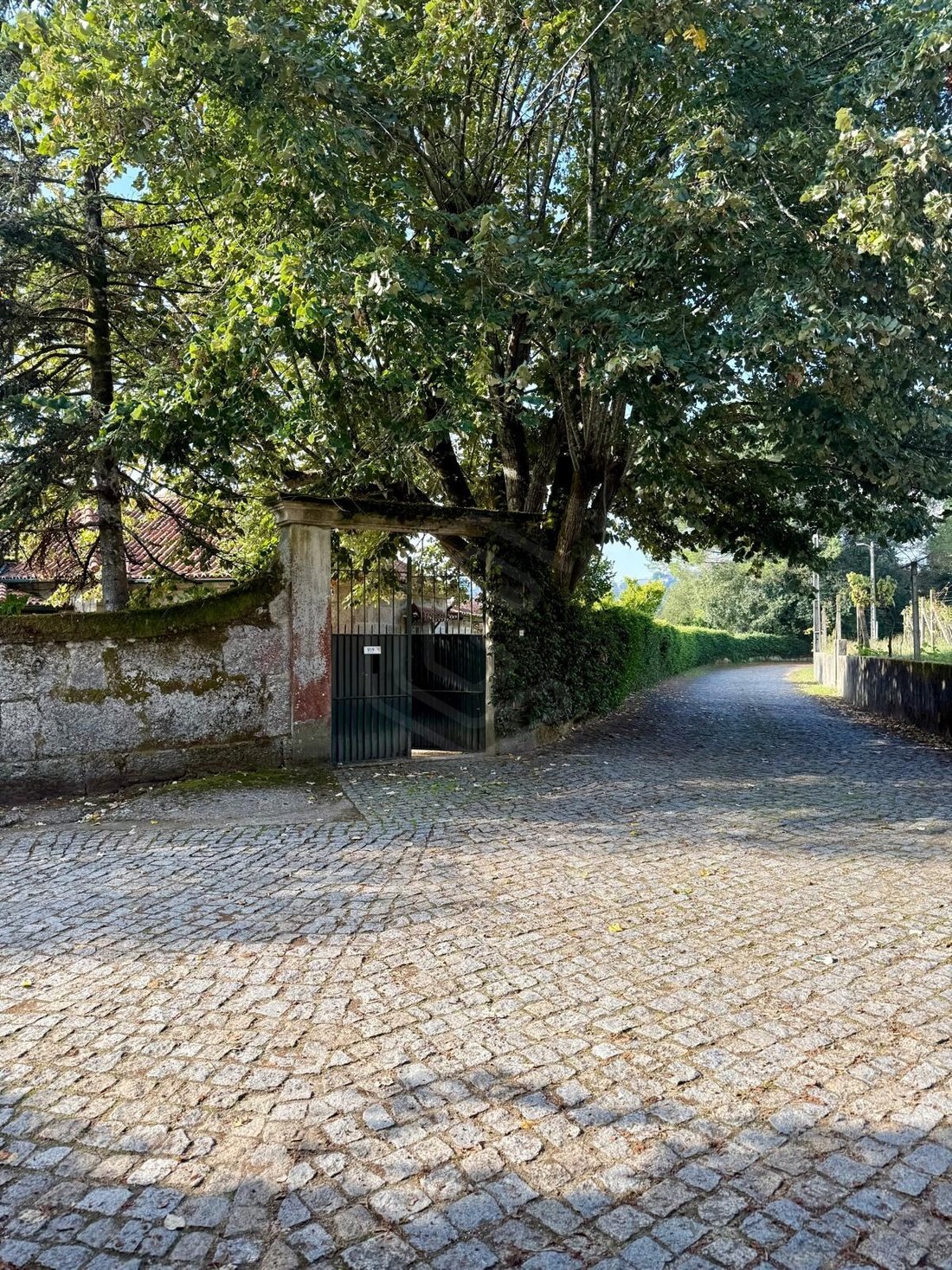 Finca in Cedofeita, Santo Ildefonso, Se, Miragaia, Sao Nicolau e Vitoria, Porto District, Portugal 2 - 19060737