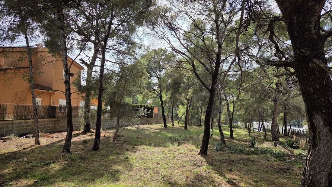 Land in Rotes Velles, Calvia, Balearic Islands 2 - 19059117