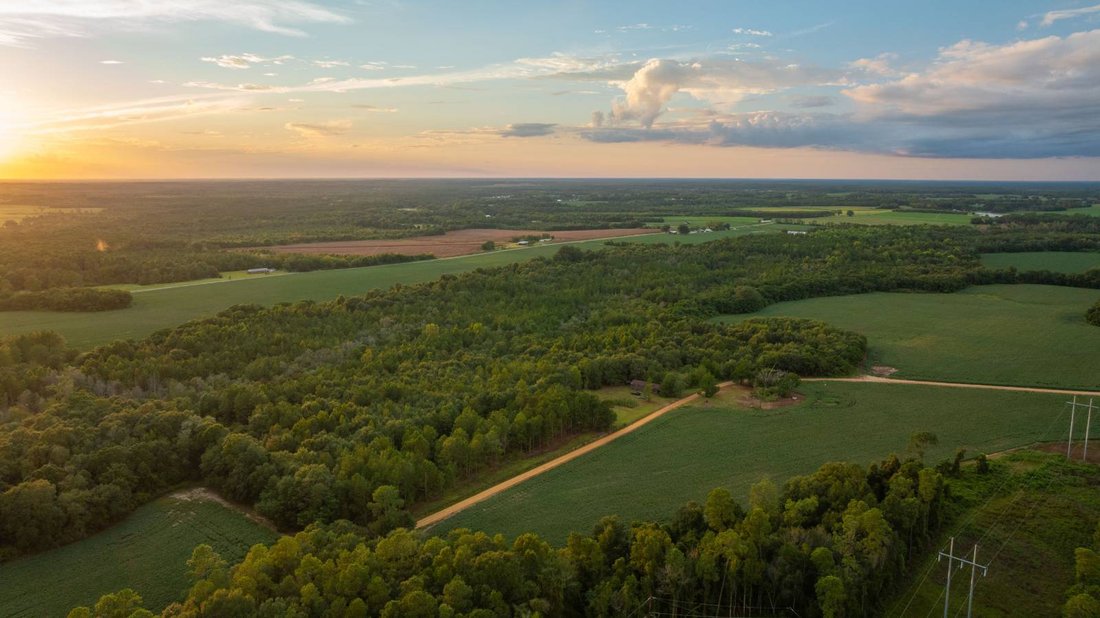Land in Pitts, Georgia, Vereinigte Staaten 1 - 19059360