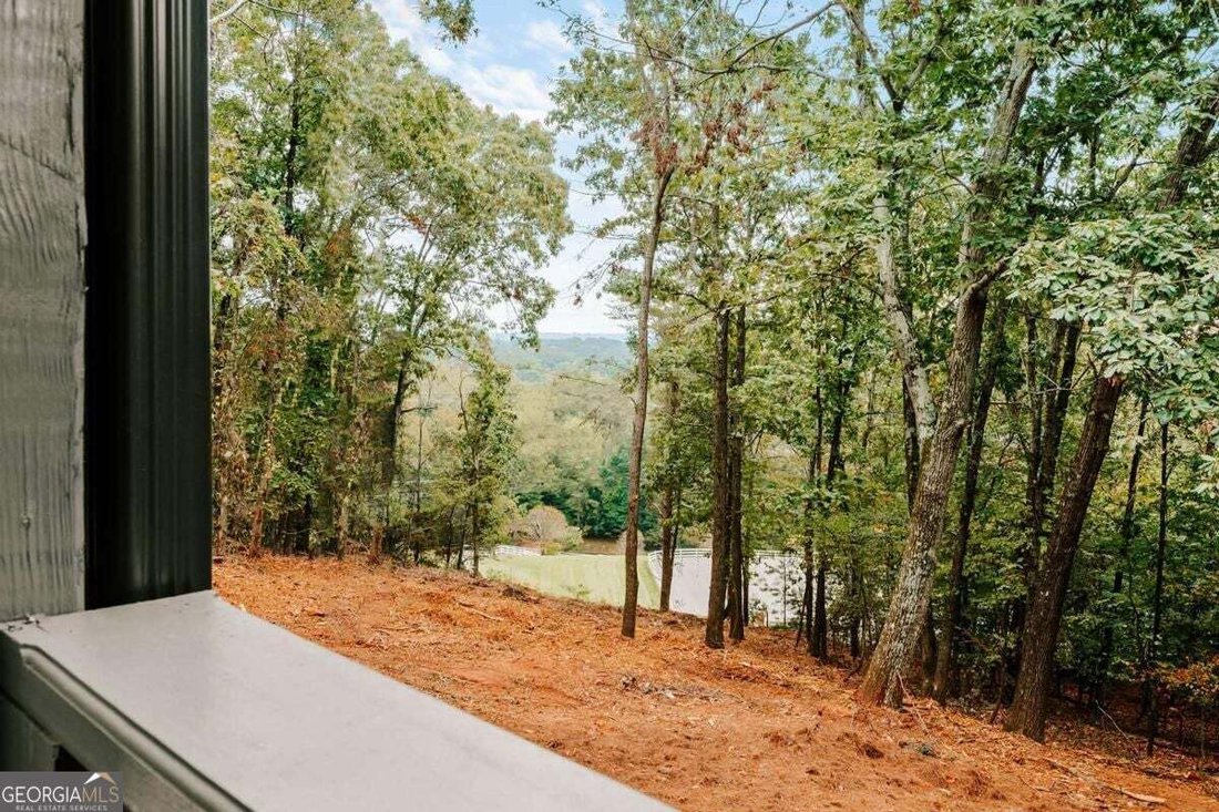 House in Gainesville, Georgia, United States 3 - 19059960
