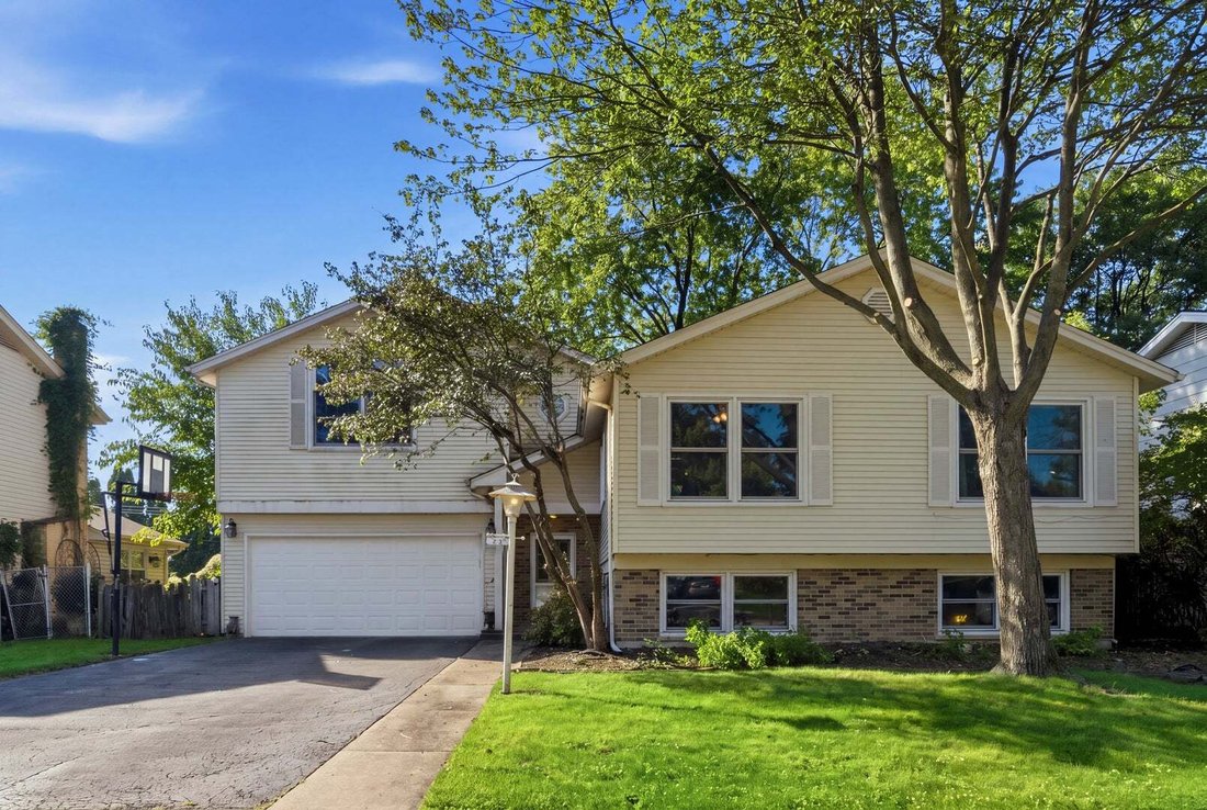 House in Prospect Heights, Illinois, United States 2 - 19059701