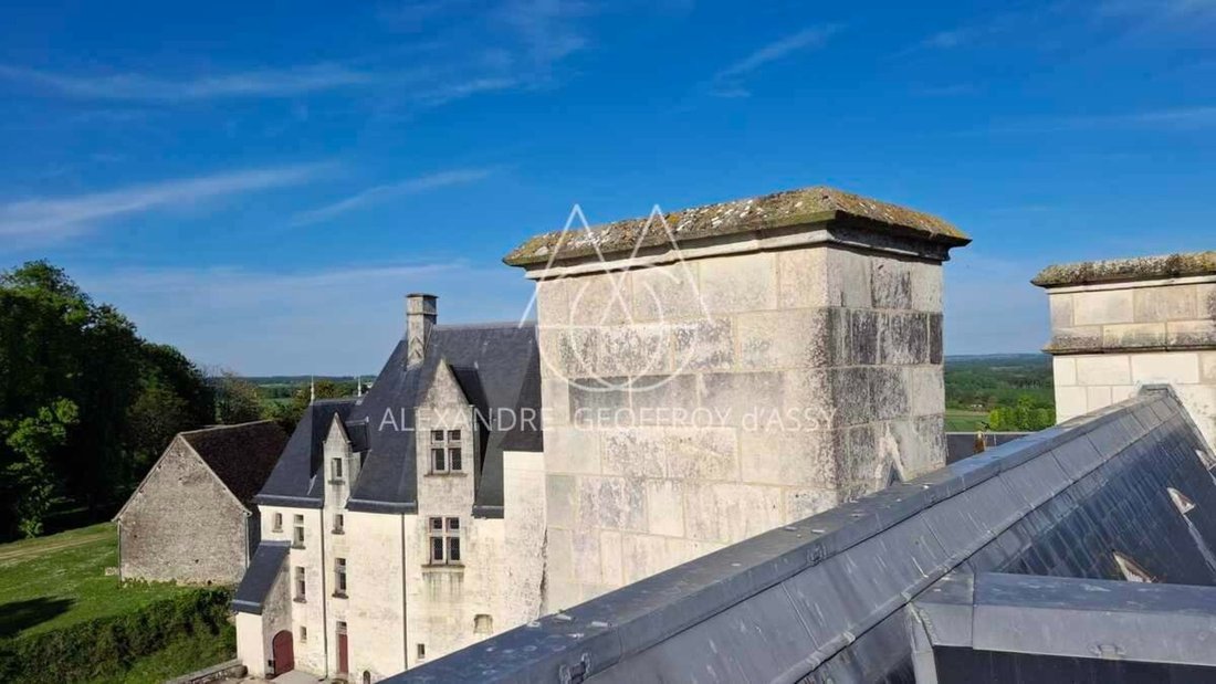 Schloss in Le Blanc, Zentrum-Loiretal, Frankreich 2 - 19060312