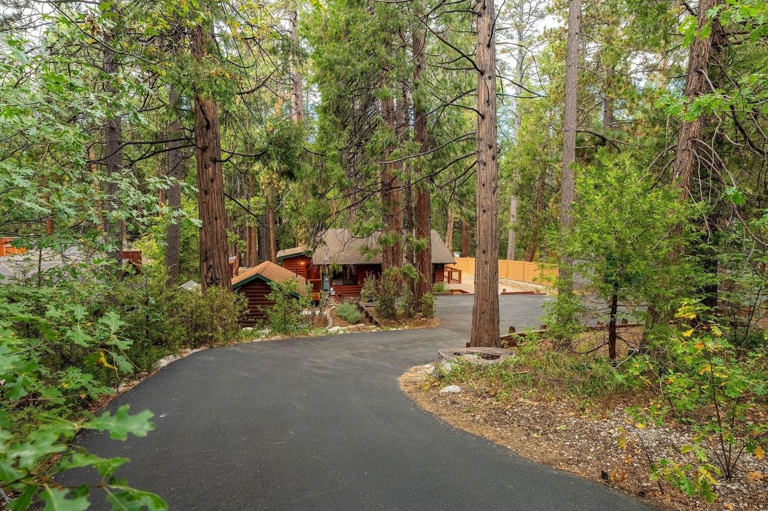 Haus in Idyllwild-Pine Cove, Kalifornien, Vereinigte Staaten 1 - 19061465