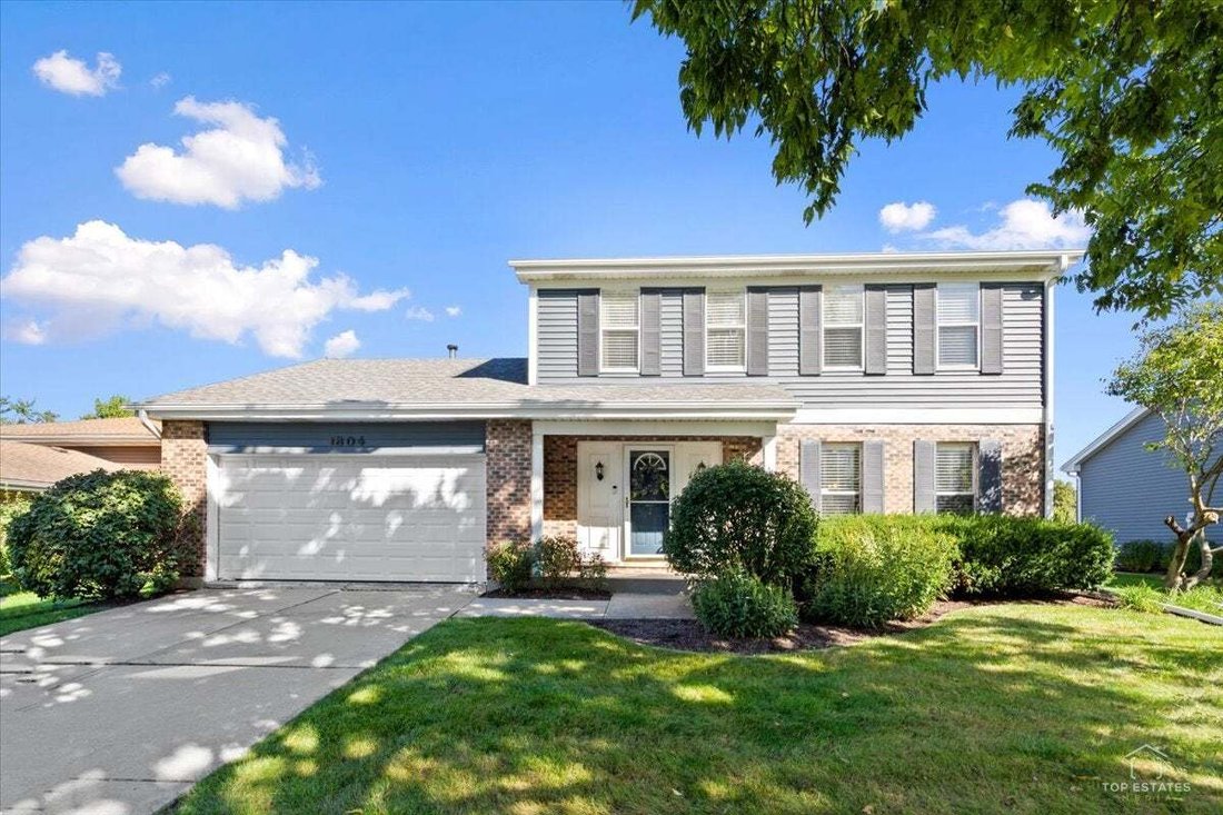 Maison à Downers Grove, Illinois, États-Unis 1 - 19059706