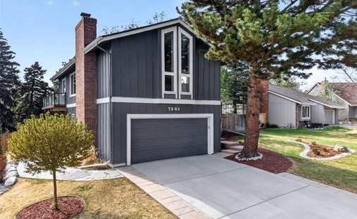House in Centennial, Colorado, United States 1