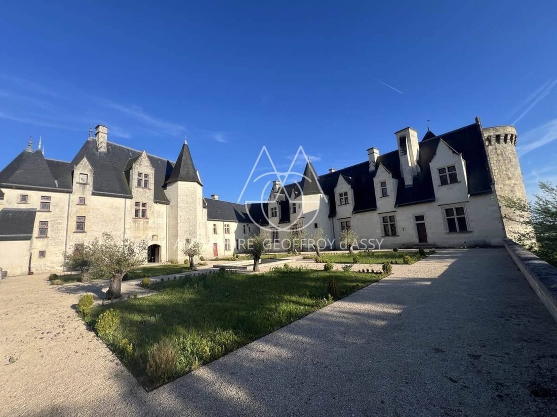 Schloss in Le Blanc, Zentrum-Loiretal, Frankreich 3 - 19060312