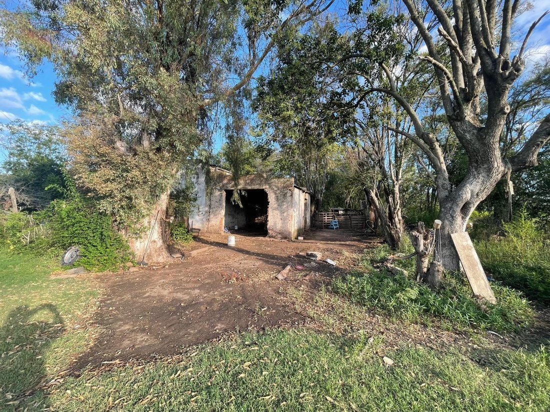 Azienda agricola a Luján, Provincia di Buenos Aires, Argentina 5 - 19061162