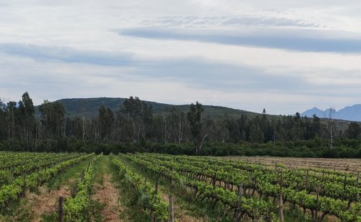 Azienda agricola a Worcester, Provincia del Capo Occidentale, Sudafrica 1