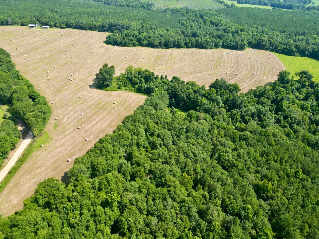 Terrain à Banks, Alabama, États-Unis 1 - 19059362
