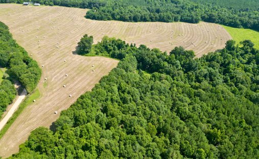 Land in Banks, Alabama, Vereinigte Staaten 1
