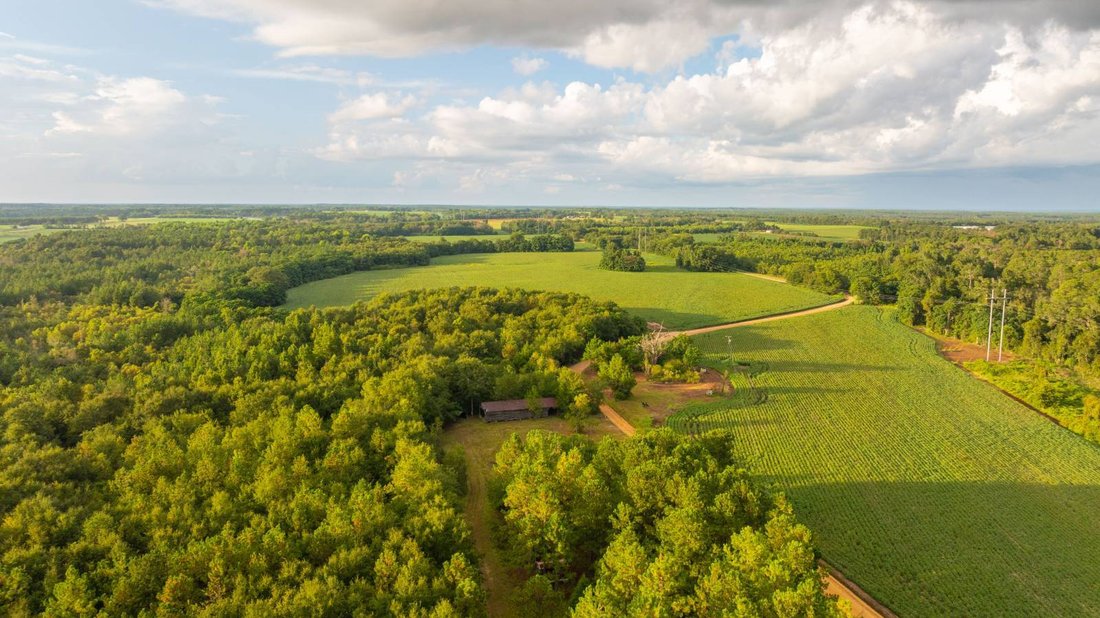 Land in Pitts, Georgia, Vereinigte Staaten 4 - 19059360