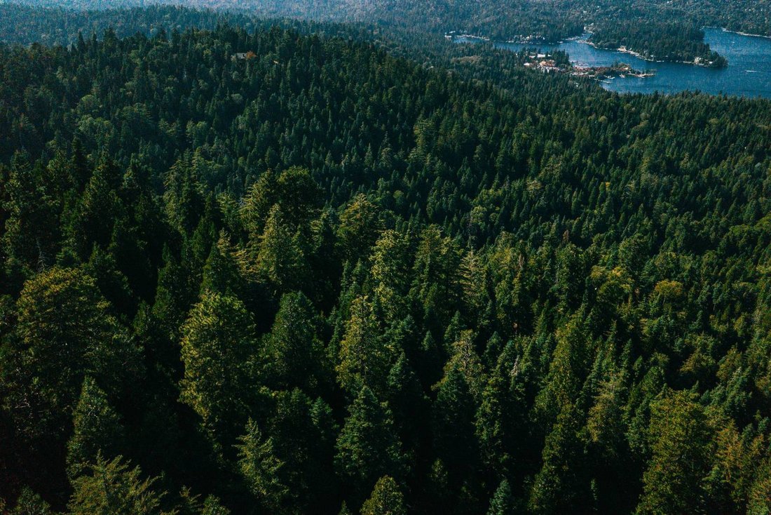 Land in Lake Arrowhead, California, United States 5 - 19062515