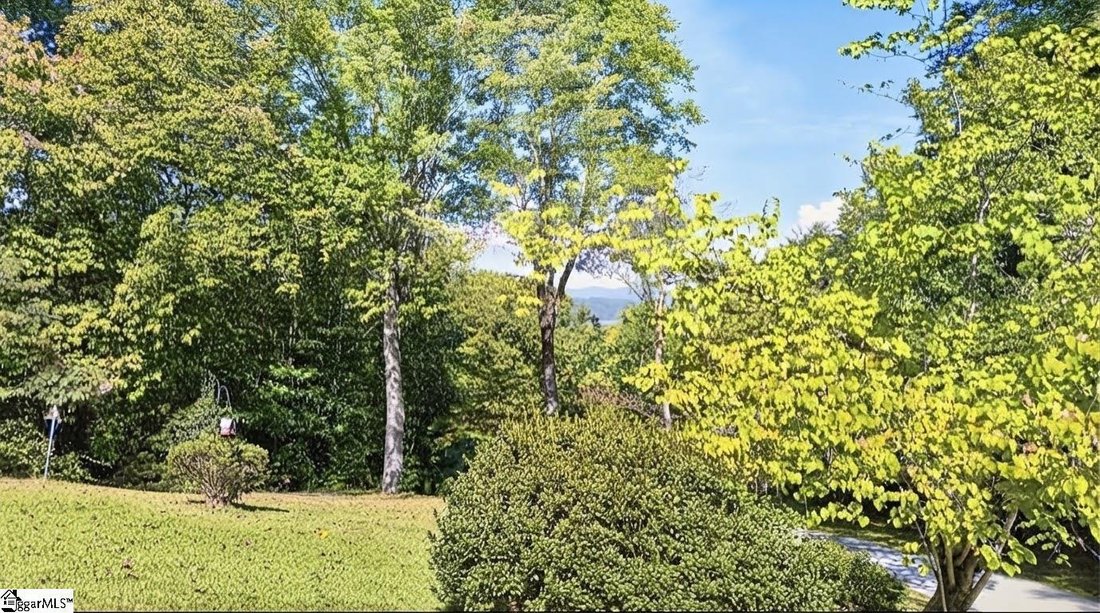 House in Travelers Rest, South Carolina, United States 5 - 19059377