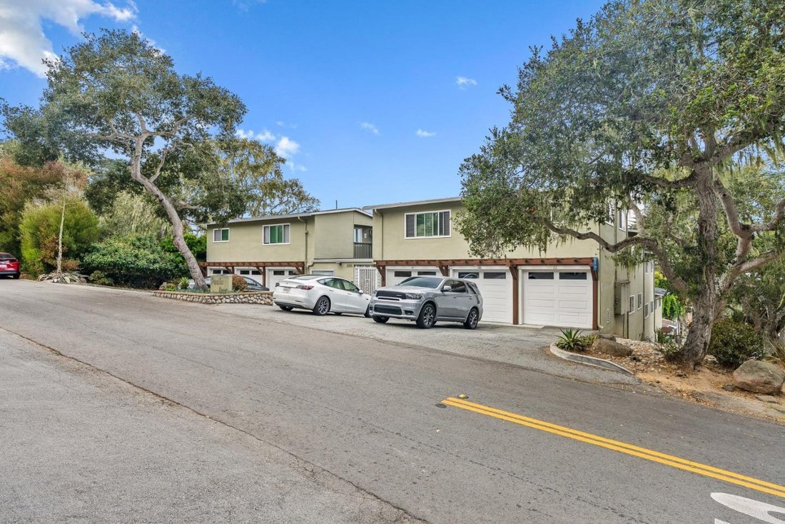Monterey, California, United States 3 - 19062588