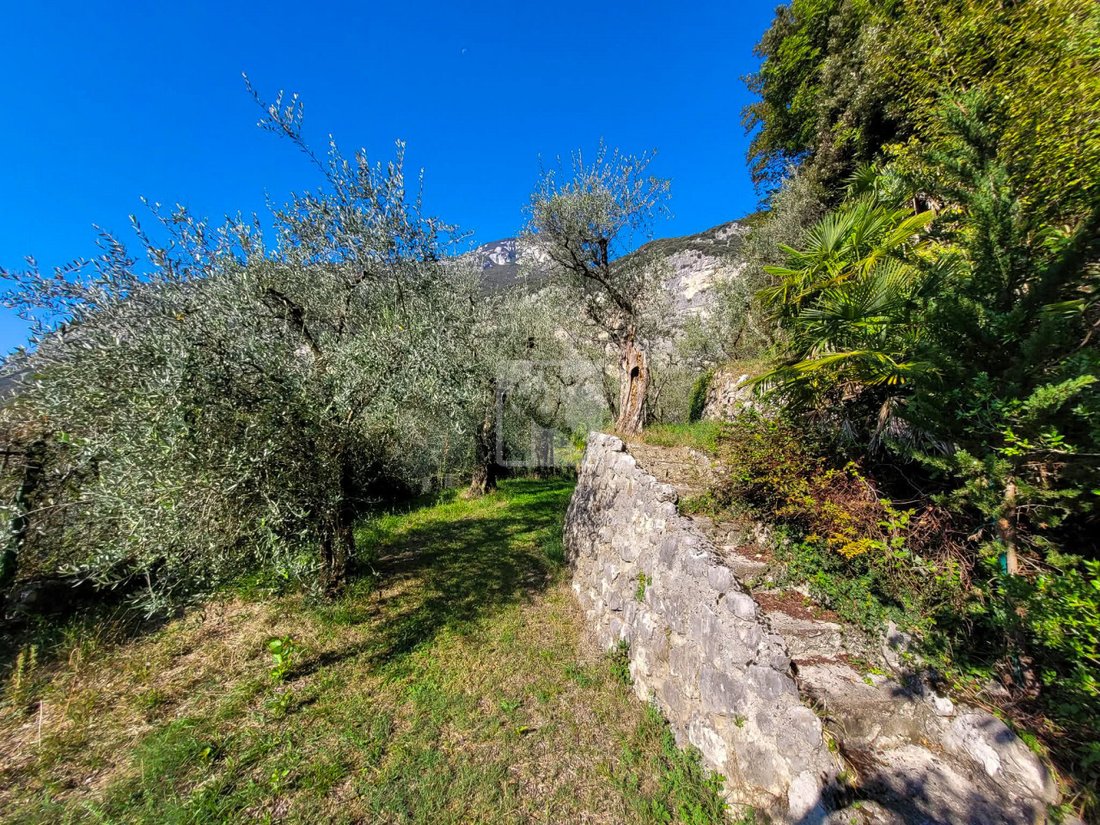 Land in Dro, Trentino-Südtirol, Italien 3 - 19064496