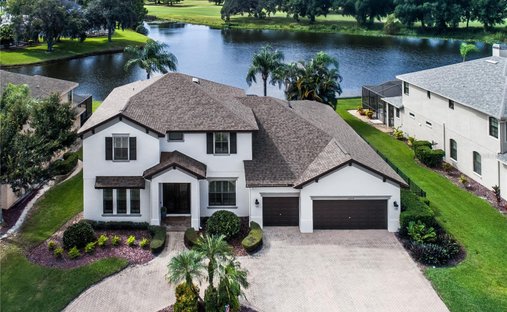 House in Odessa, Florida, United States 1