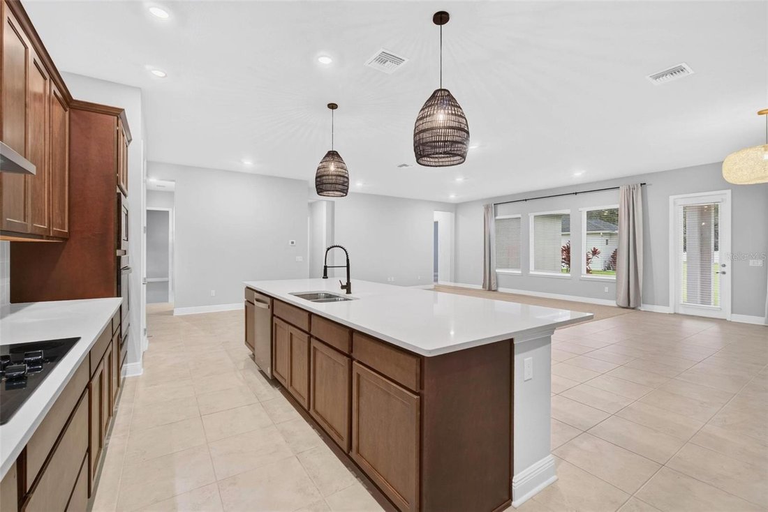 House in Odessa, Florida, United States 4 - 19062781