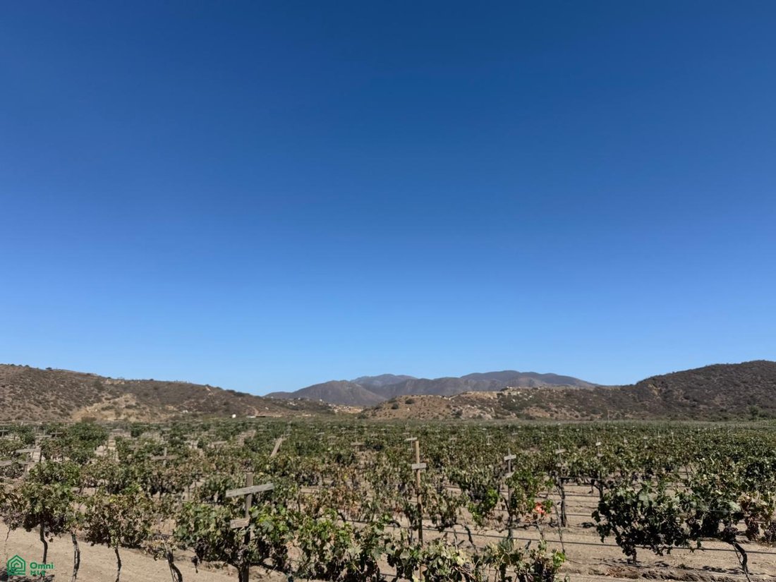 Terreno a Santo Tomás, Bassa California, Messico 5 - 19063053