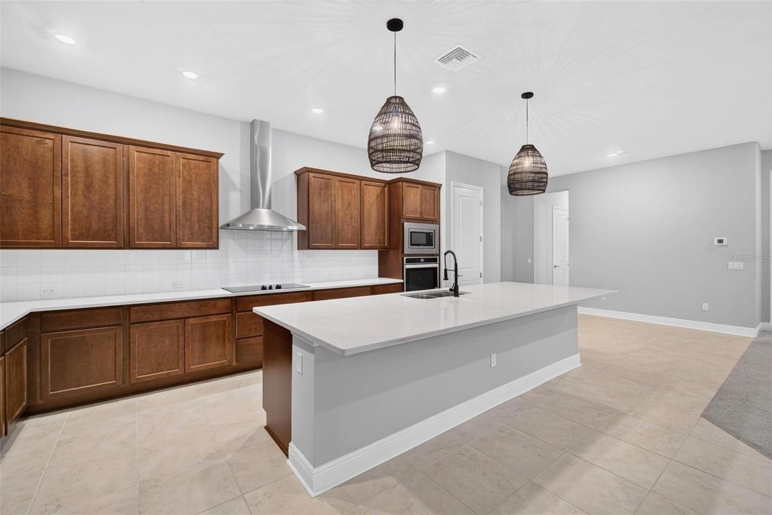 House in Odessa, Florida, United States 5 - 19062781