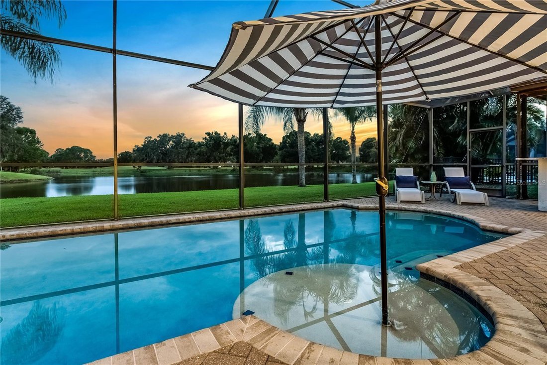 House in Odessa, Florida, United States 4 - 19059569