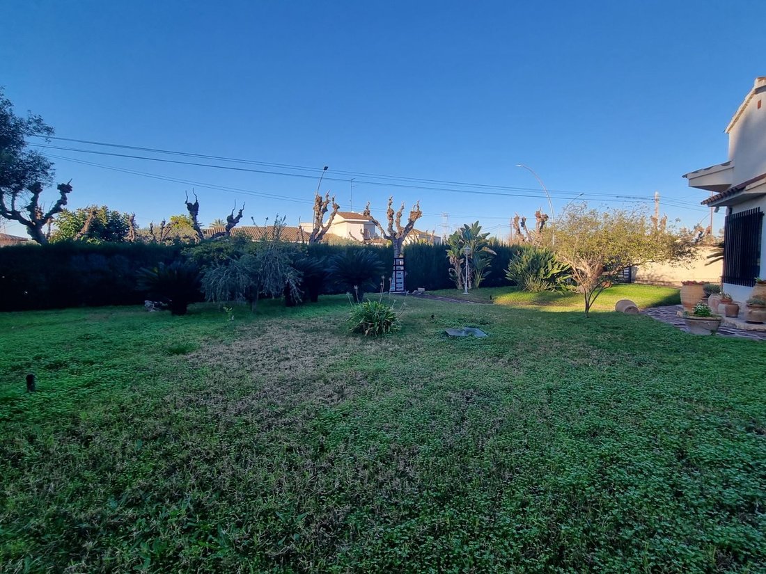 Villa in Villarreal, Land Valencia, Spanien 4 - 19062816