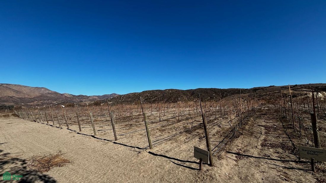 Terreno a Santo Tomás, Bassa California, Messico 3 - 19063053
