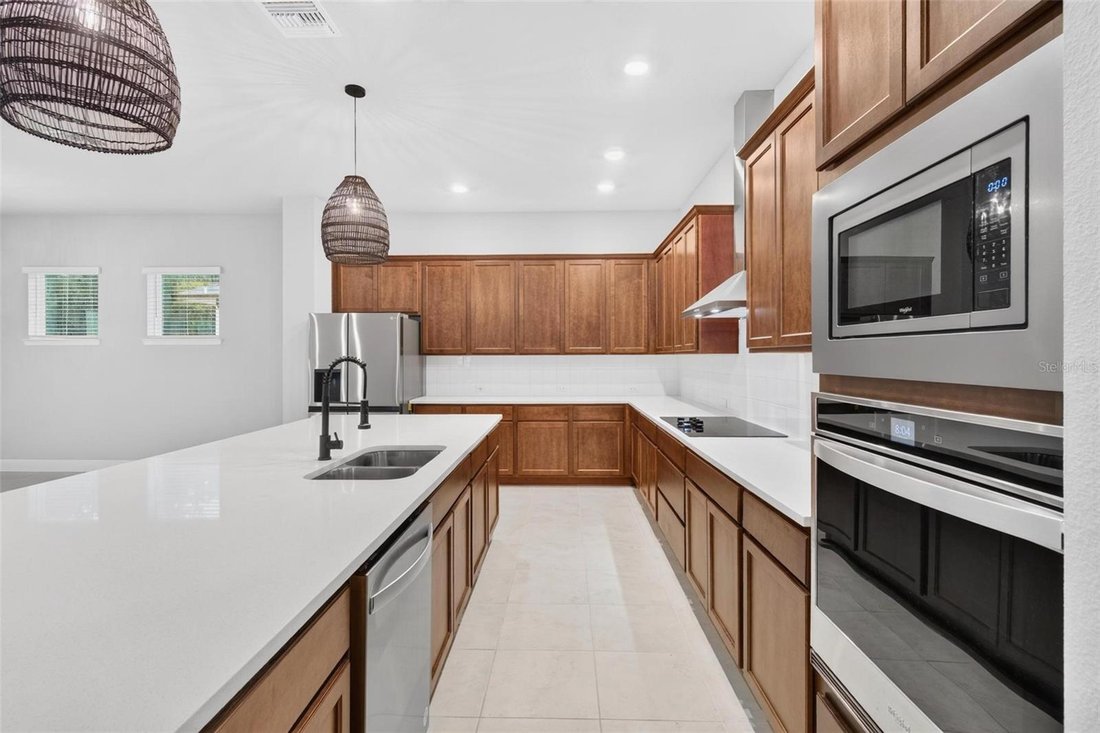 House in Odessa, Florida, United States 3 - 19062781