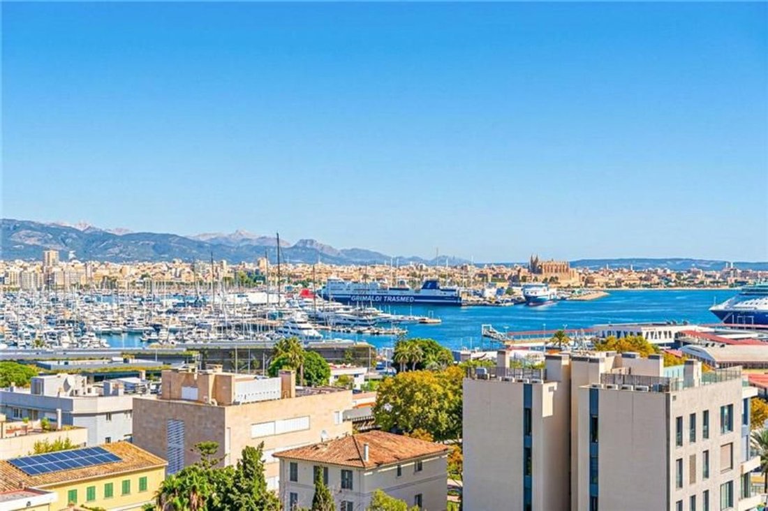 Apartment in Palma, Balearic Islands, Spain 1 - 19064006