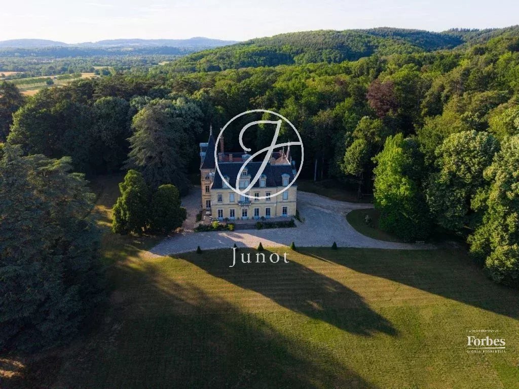 Castillo en Jujurieux, Auvernia-Ródano-Alpes, Francia 4 - 19064389