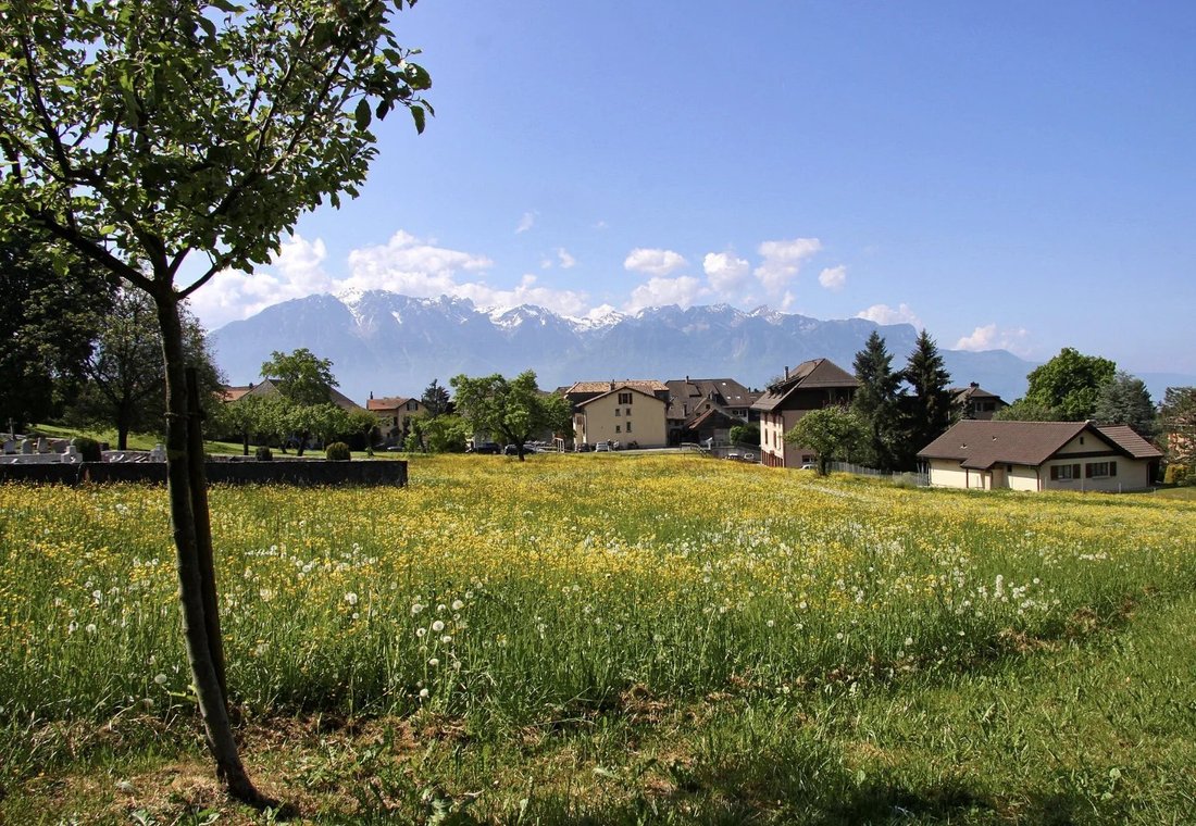 House in Saint Legier La Chiesaz, Blonay - Saint-Légier, Vaud 1 - 15555662