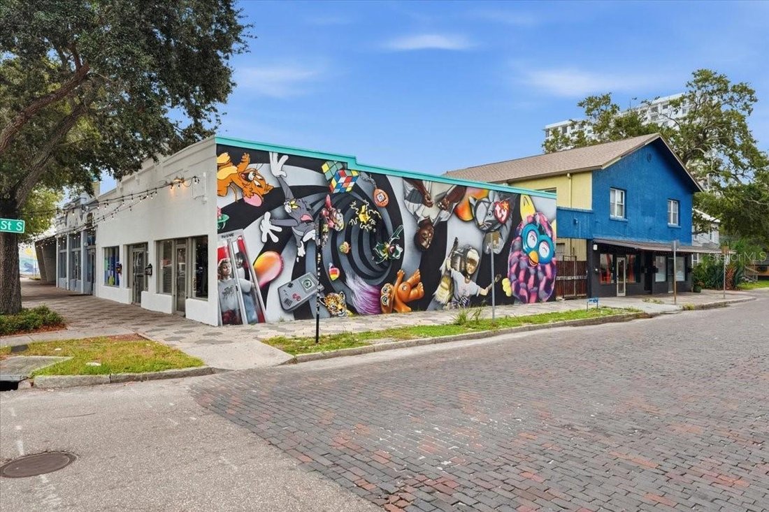 St. Petersburg, Florida, United States 2 - 19059568