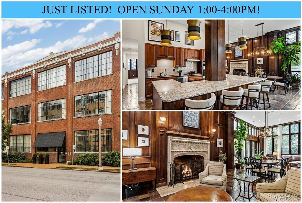 Condo in St. Louis, Missouri, United States 1 - 19062981