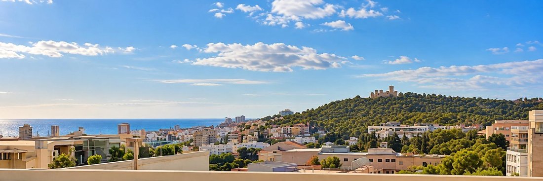 Appartement à Palma, Îles Baléares, Espagne 1 - 18952481