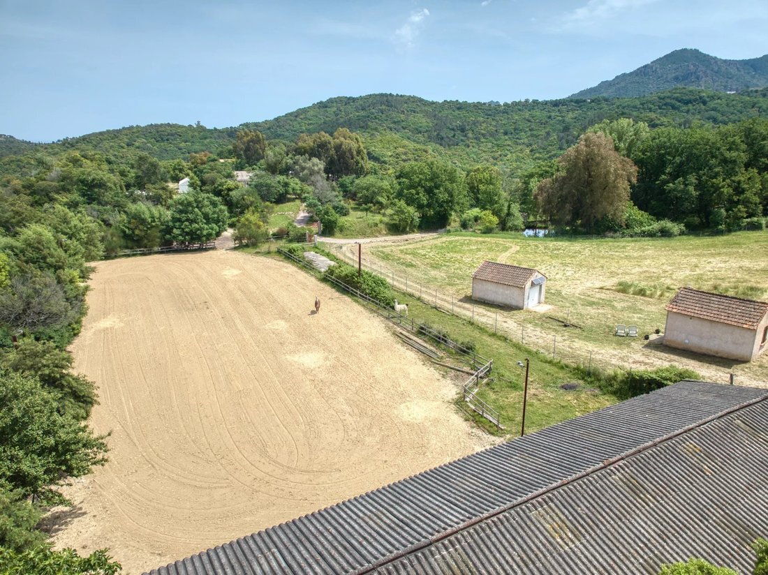 Anwesen in Les Termes, Mandelieu-la-Napoule, Frankreich 5 - 15590202
