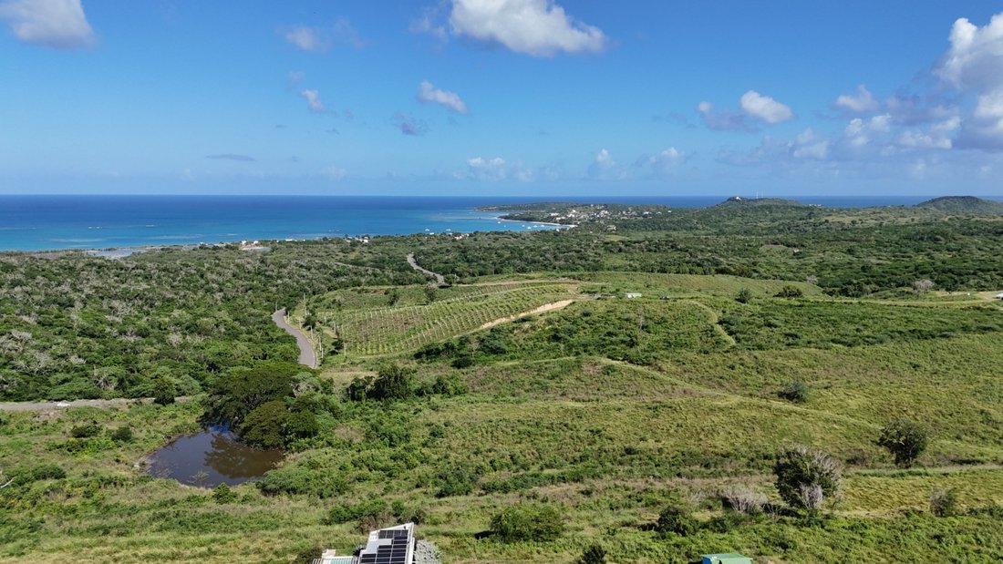 Land in Punta Rucia, Puerto Plata, Dominikanische Republik 1 - 19072887