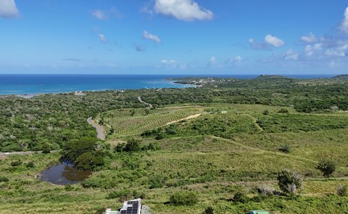 Land in Punta Rucia, Puerto Plata, Dominikanische Republik 1