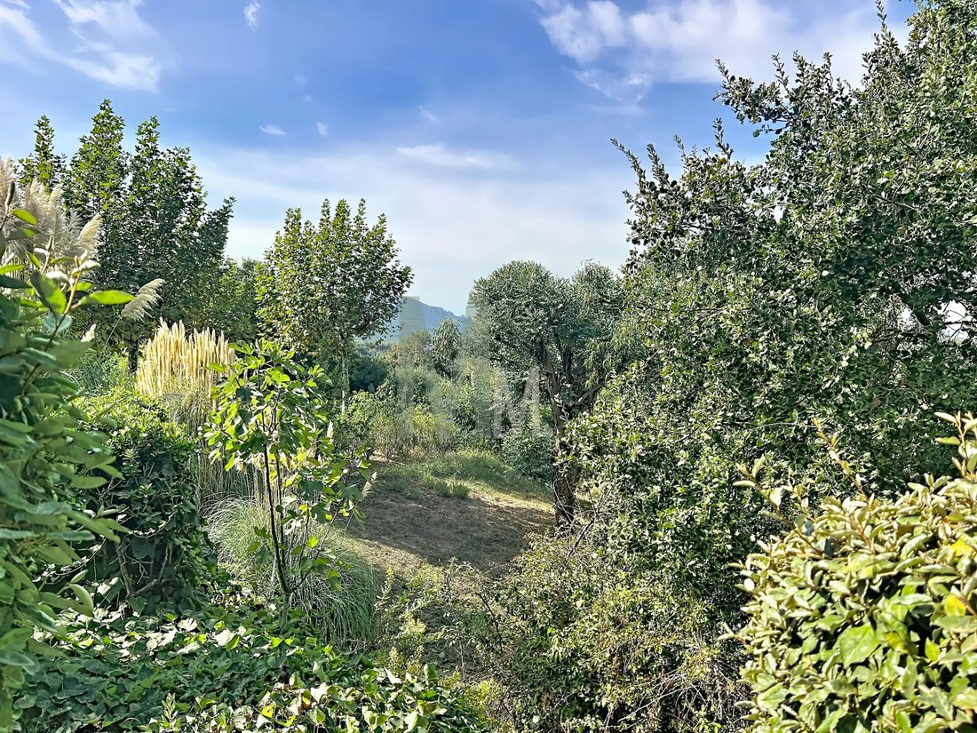 Apartment in Le Grand Duc-Minelle, Mandelieu-la-Napoule, France 2 - 19067057