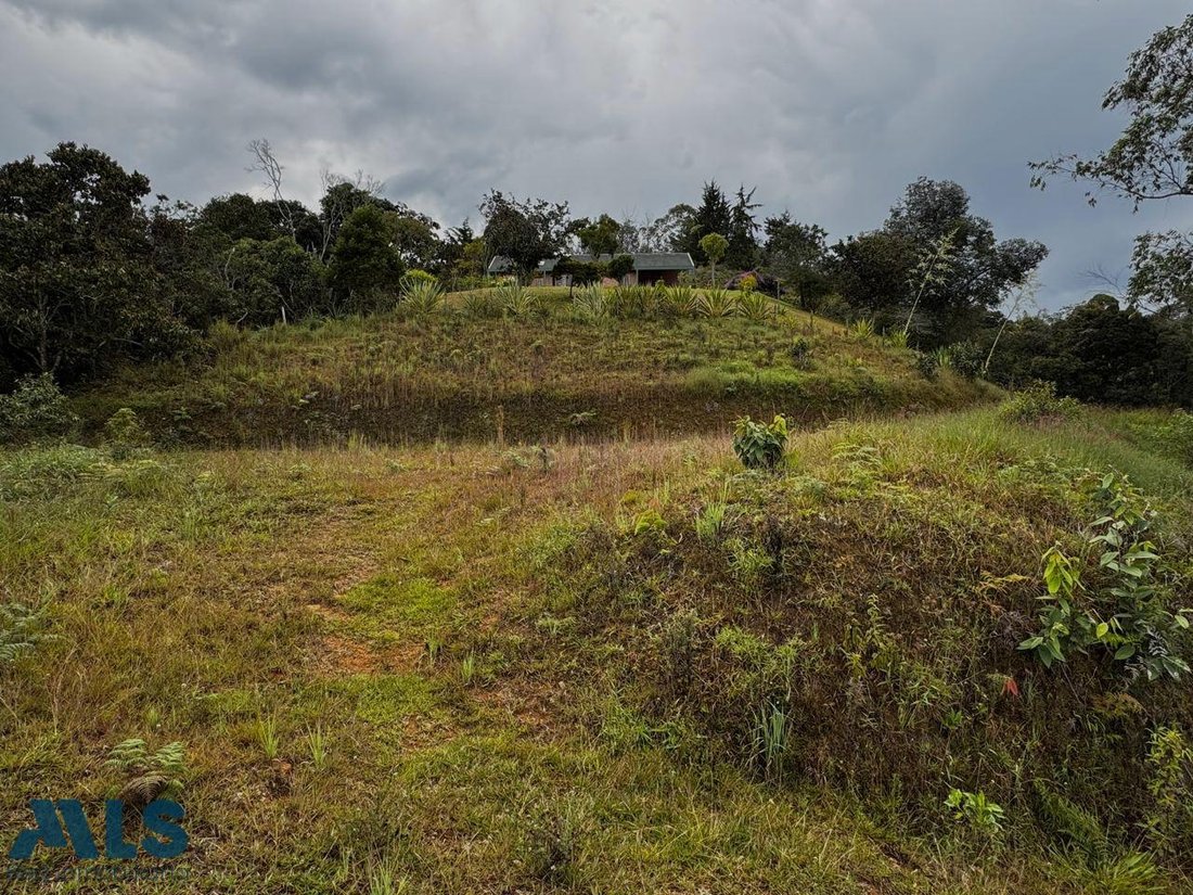 Terrain à Rionegro, Antioquia, Colombie 1 - 19066699
