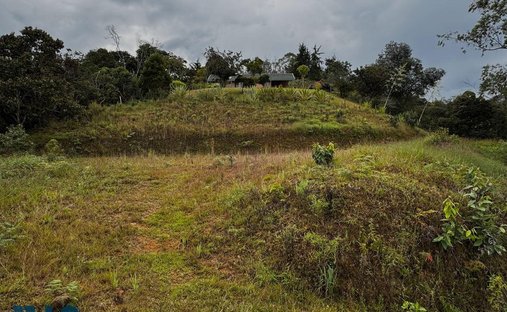 Terrain à Rionegro, Antioquia, Colombie 1