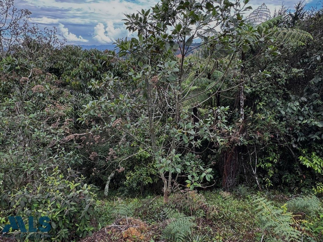 Terrain à Rionegro, Antioquia, Colombie 5 - 19066699