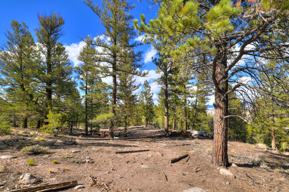 Otros en Twin Lakes, Colorado, Estados Unidos 4 - 19067373