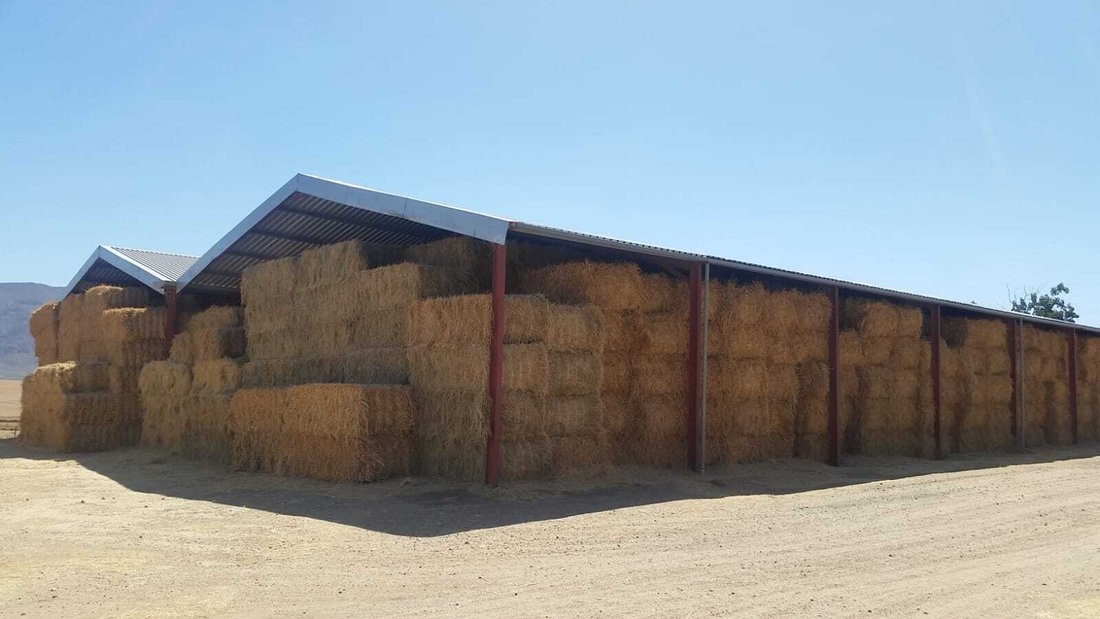 Azienda agricola a Wolseley, Provincia del Capo Occidentale, Sudafrica 2 - 19067783