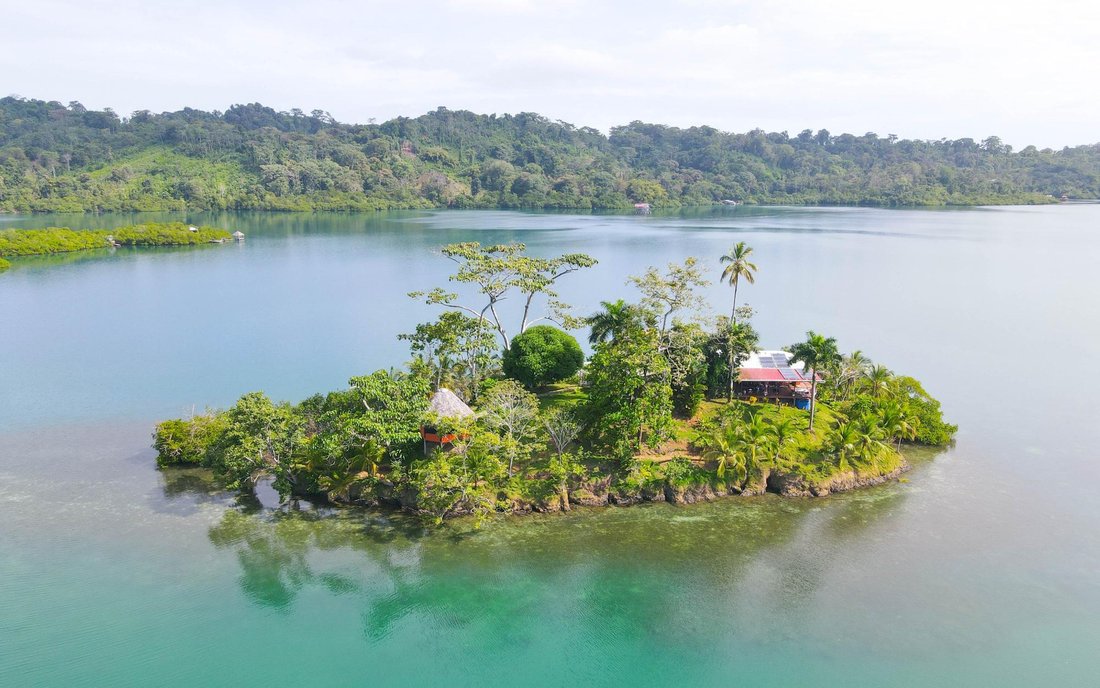 Maison à Cauchero, Bocas del Toro, Panama 2 - 19066394