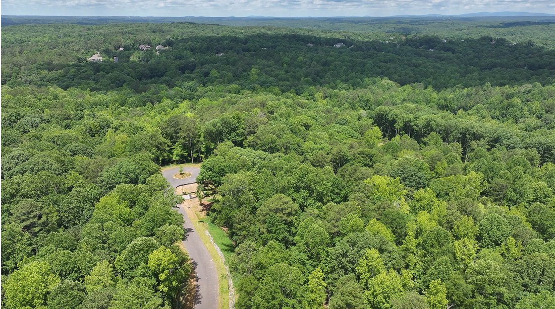 Terreno en Milton, Georgia, Estados Unidos 2 - 19065899