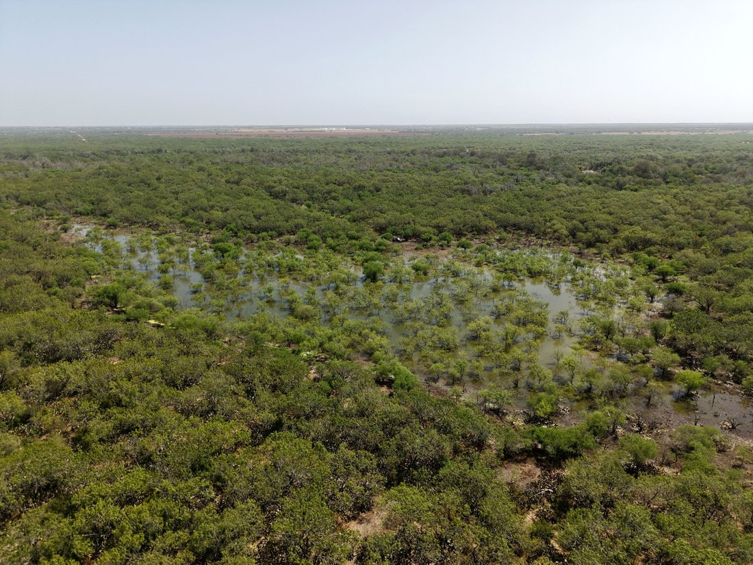 Farm Ranch in George West, Texas, United States 4 - 19067418